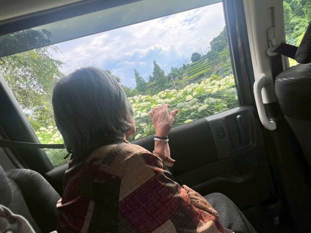 2日目は風早の里へ、あじさい見学にご一緒。車窓いっぱいのあじさいにうっとり