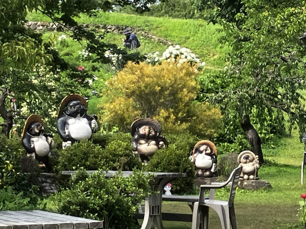 かわいい信楽焼のたぬきさんたちがお出迎え😊